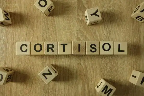 The Hidden Connection: How Stress Shapes Your Fitness and Body Composition 2 Image saying "Cortisol" and how stress Rotherham impacts your wellbeing and bodies shape